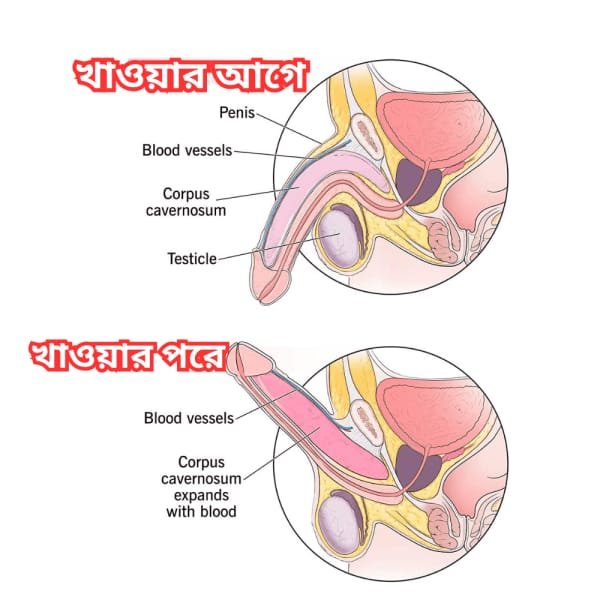 WhatsApp-Image-2025-05-13-at-9.27.10-PM-1